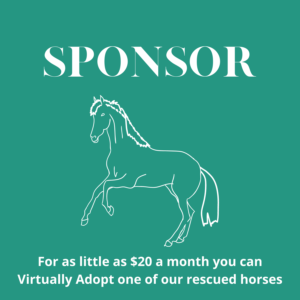 sponsor a horse