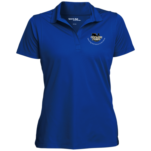 Ladies' Logo Micropique Sport-Wick® Polo - Image 2