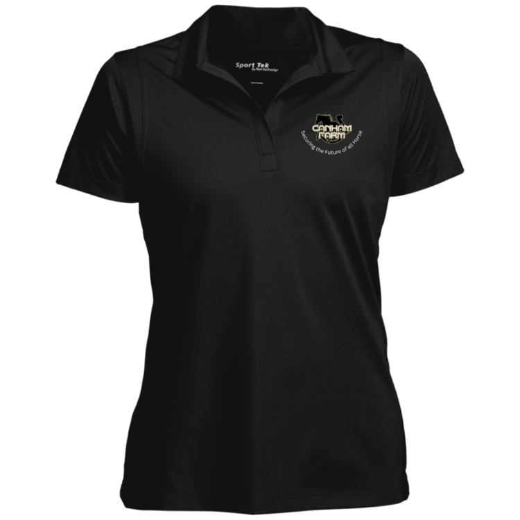 Ladies' Logo Micropique Sport-Wick® Polo