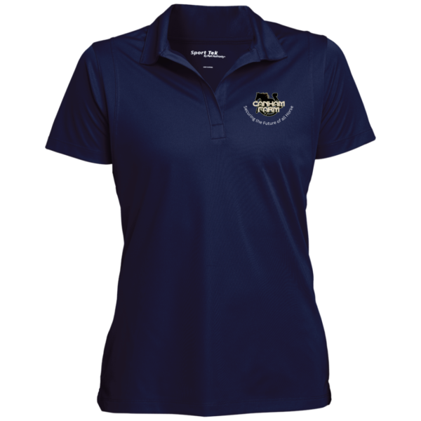 Ladies' Logo Micropique Sport-Wick® Polo - Image 4