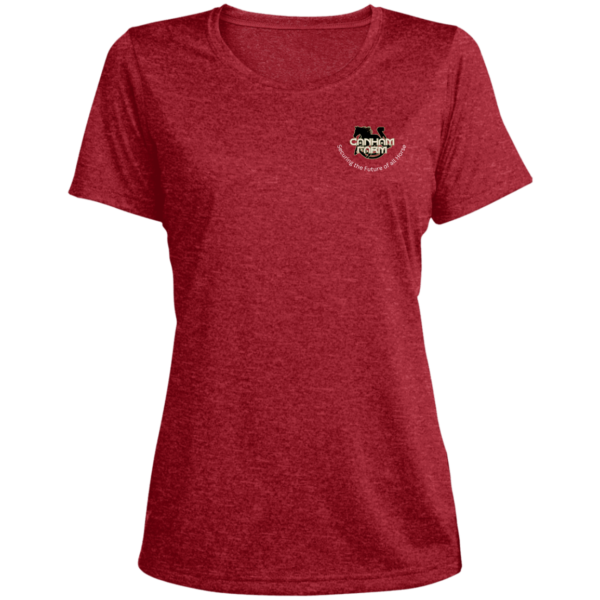 Ladies' Heather Scoop Neck Performance Tee - Image 4