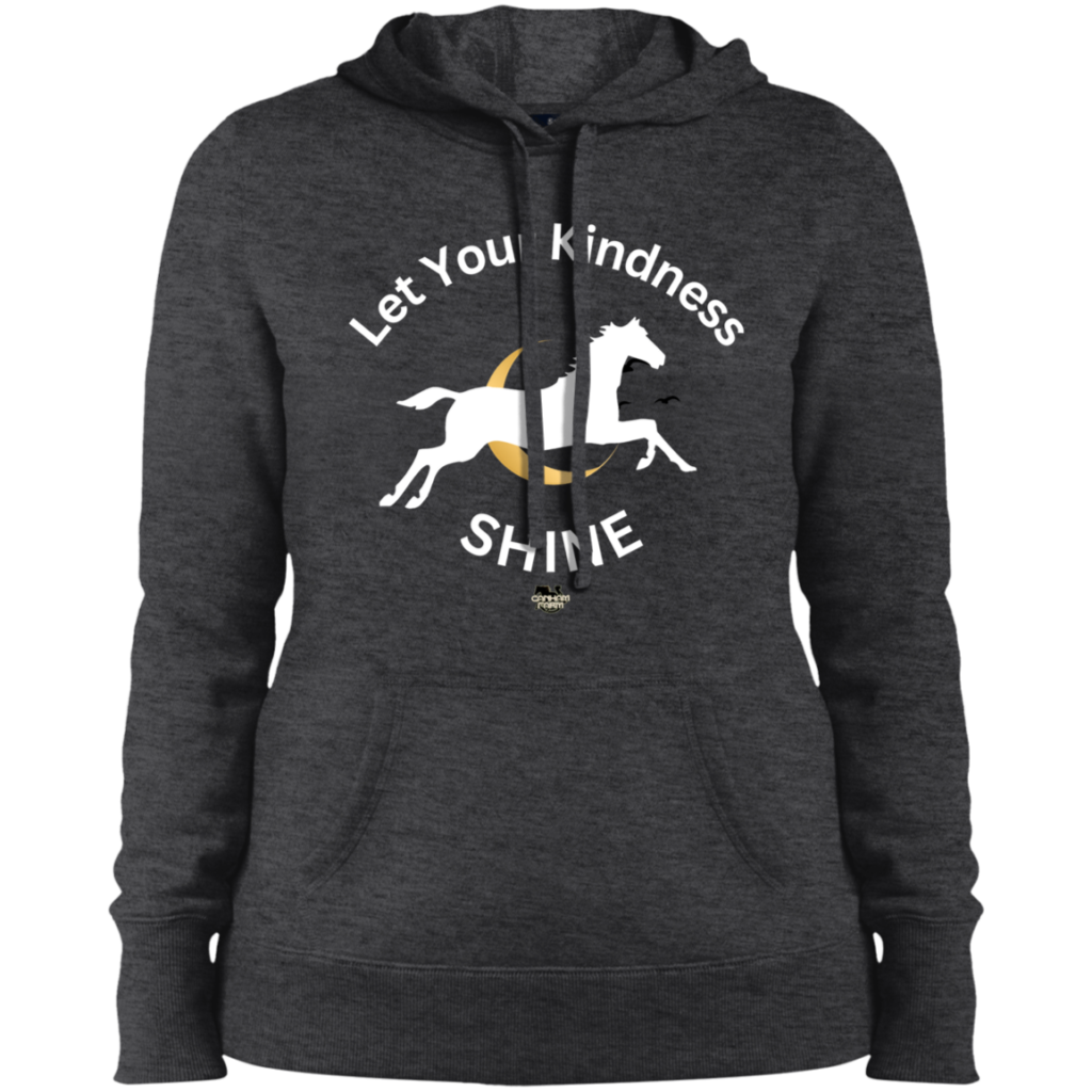 let your kindness shine unisex hoodie