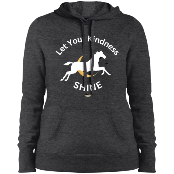 let your kindness shine unisex hoodie