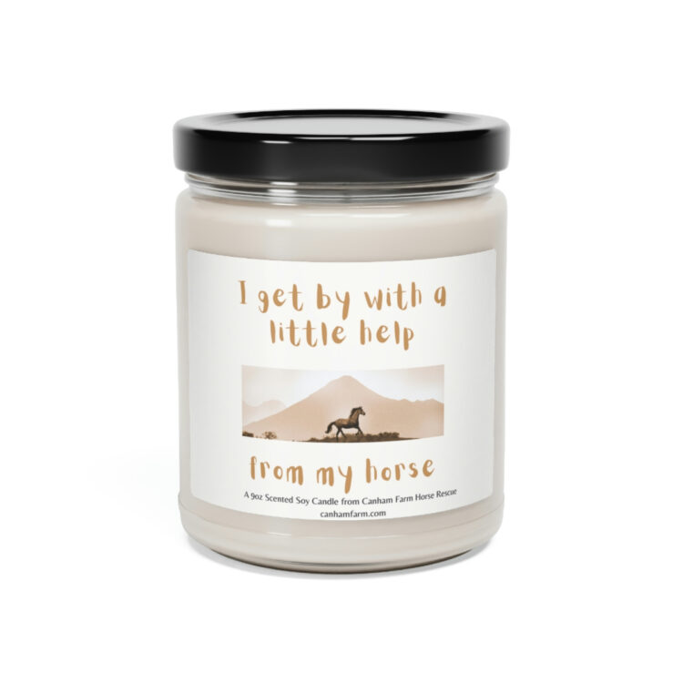 I Get By With a Little Help From My Horses Scented Soy Candle, 9oz - Image 16