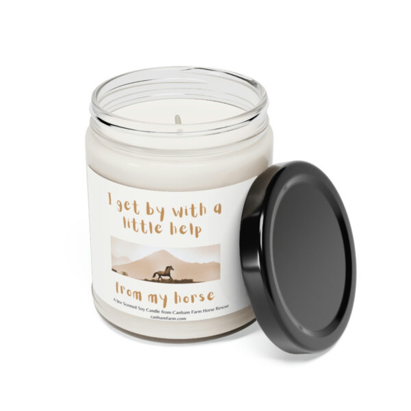 I Get By With a Little Help From My Horses Scented Soy Candle, 9oz - Image 17