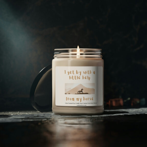 I Get By With a Little Help From My Horses Scented Soy Candle, 9oz - Image 20