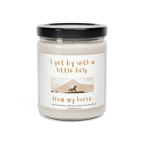 I Get By With a Little Help From My Horses Scented Soy Candle, 9oz - Image 21