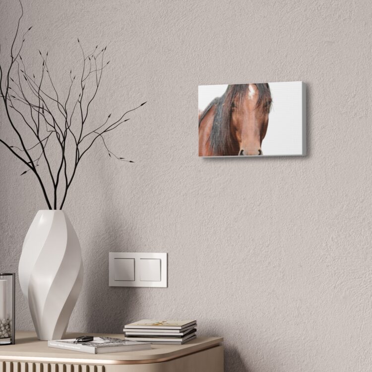 Stretch Canvas Wall Art Celebrating 7 year old Wild Horse Cleo! Size 16 x 20 - Image 8