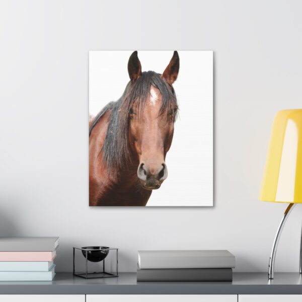 Stretch Canvas Wall Art Celebrating 7 year old Wild Horse Cleo! Size 16 x 20 - Image 3