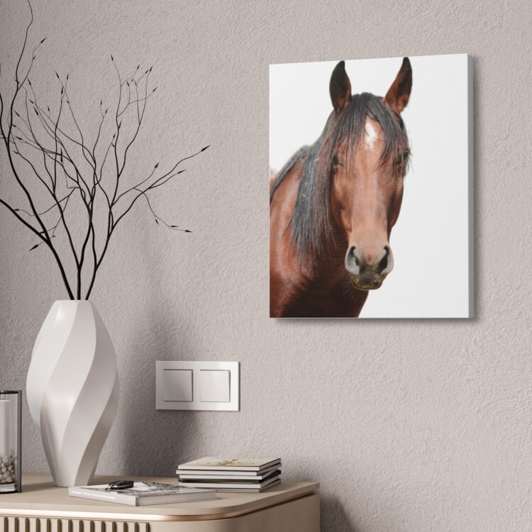 Stretch Canvas Wall Art Celebrating 7 year old Wild Horse Cleo! Size 16 x 20 - Image 4