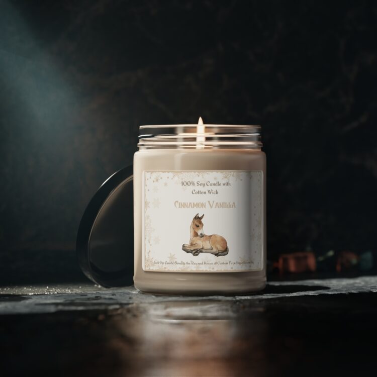 100% Natural Soy Christmas Candle with 100% Cotton Wick - Cinnamon Vanilla - 9oz - Image 5