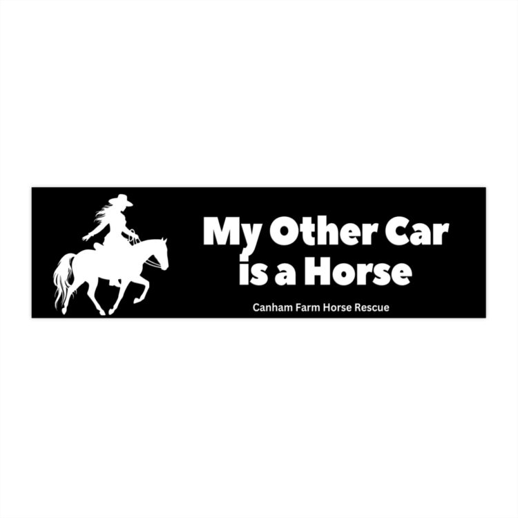 "My Other Car is A Horse" Bumper Sticker 11 x 3 Water Resistant Vinyl