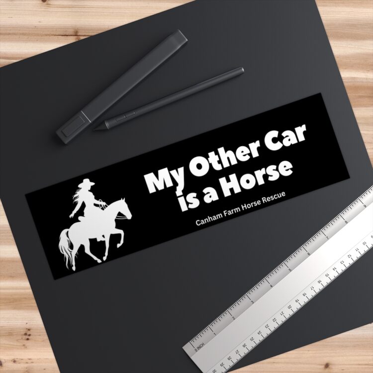 "My Other Car is A Horse" Bumper Sticker 11 x 3 Water Resistant Vinyl - Image 3