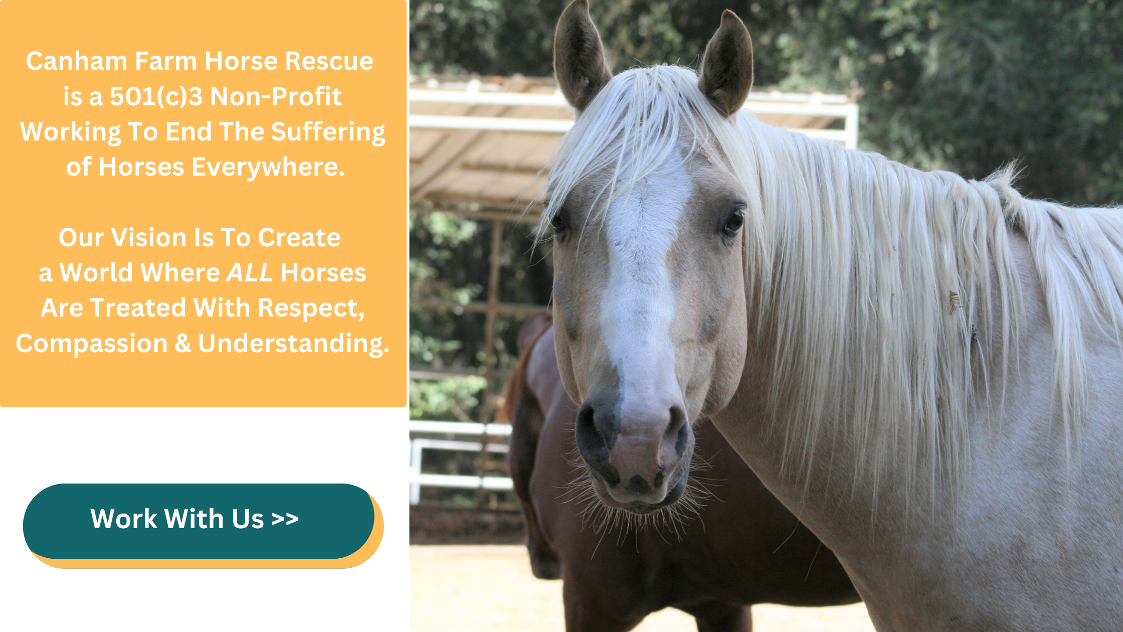 Canham Farm Horse Rescue is a 501(c)3 Non-Profit Working To End The Suffering of Horses Everywhere. Our Vision Is To Create a World Where ALL Horses Are Treated With Respect, Compassion and Understanding