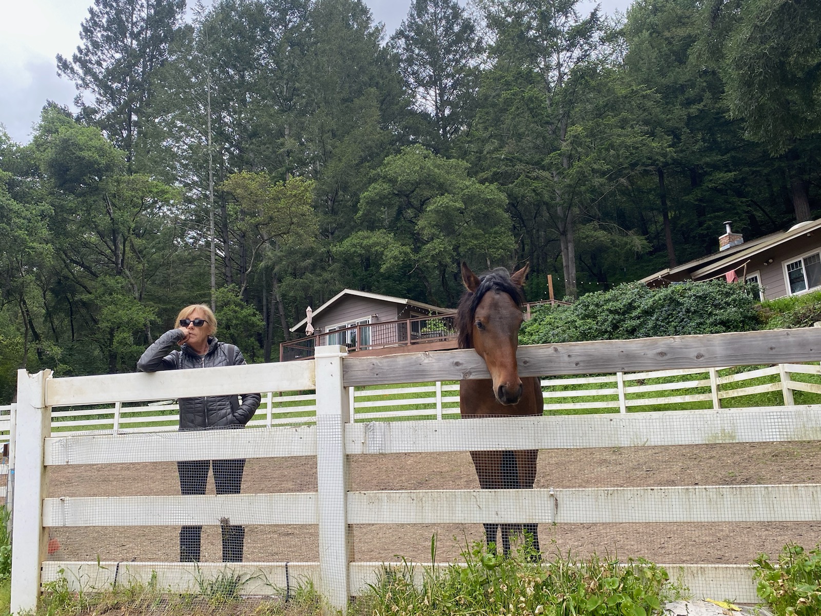 Woman with young horse showing broken fencing