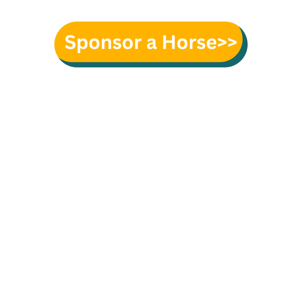 Sponsor a horse click button to choose your horse and pay