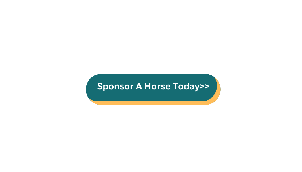 Click to sponsor a horse