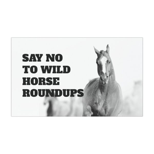 SAY NO TO WILD HORSES CAR MAGNET