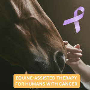 EQUINE ASSISTED THERAPY FOR CANCER PATIENTS