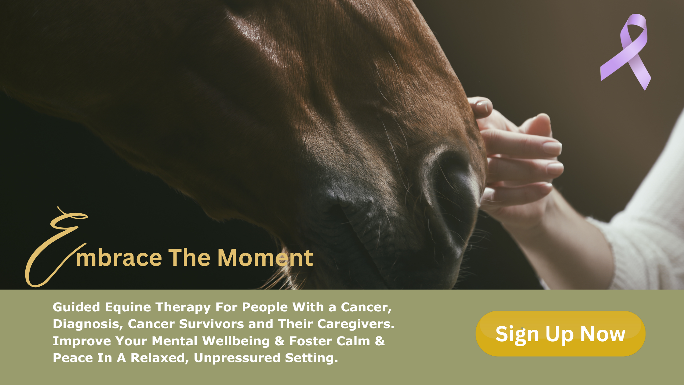 Embrace the moment - equine assisted cancer therapy